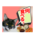 ミツ夫さんの日常会話 初夏・梅雨ver.（個別スタンプ：26）