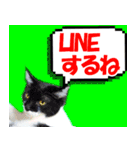 ミツ夫さんの日常会話 初夏・梅雨ver.（個別スタンプ：27）