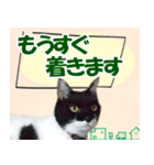 ミツ夫さんの日常会話 初夏・梅雨ver.（個別スタンプ：29）