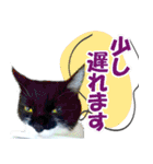 ミツ夫さんの日常会話 初夏・梅雨ver.（個別スタンプ：30）
