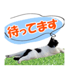 ミツ夫さんの日常会話 初夏・梅雨ver.（個別スタンプ：31）