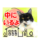 ミツ夫さんの日常会話 初夏・梅雨ver.（個別スタンプ：32）