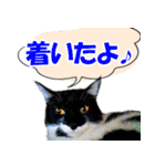 ミツ夫さんの日常会話 初夏・梅雨ver.（個別スタンプ：33）