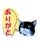 ミツ夫さんの日常会話 初夏・梅雨ver.（個別スタンプ：35）