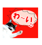 ミツ夫さんの日常会話 初夏・梅雨ver.（個別スタンプ：36）