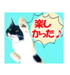 ミツ夫さんの日常会話 初夏・梅雨ver.（個別スタンプ：37）