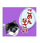 ミツ夫さんの日常会話 初夏・梅雨ver.（個別スタンプ：39）