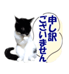 ミツ夫さんの日常会話 初夏・梅雨ver.（個別スタンプ：40）