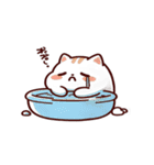 お風呂猫 仕方ない,（個別スタンプ：29）