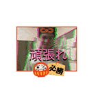 タイトなタイトル050708（個別スタンプ：4）