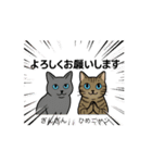 猫兄妹ぎんとひめニャンの動くスタンプ（個別スタンプ：1）