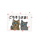 猫兄妹ぎんとひめニャンの動くスタンプ（個別スタンプ：3）