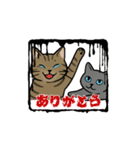 猫兄妹ぎんとひめニャンの動くスタンプ（個別スタンプ：4）