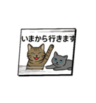 猫兄妹ぎんとひめニャンの動くスタンプ（個別スタンプ：5）