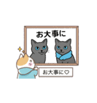 猫兄妹ぎんとひめニャンの動くスタンプ（個別スタンプ：7）
