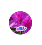 お花ゆらゆらスタンプ（個別スタンプ：10）