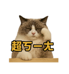 女神系もふもふ猫スタンプ〜第5弾〜（個別スタンプ：6）