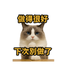 女神系もふもふ猫スタンプ〜第5弾〜（個別スタンプ：8）