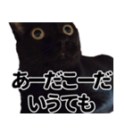 もちもちネコチャンバーティー（個別スタンプ：26）