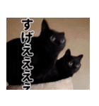 もちもちネコチャンバーティー（個別スタンプ：35）