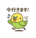なるインコ♡音楽編（部活の日常）（個別スタンプ：15）