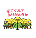 なるインコ♡音楽編（部活の日常）（個別スタンプ：39）