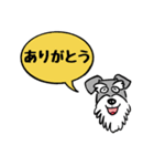 シュナウザー 日常スタンプ（個別スタンプ：1）