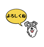 シュナウザー 日常スタンプ（個別スタンプ：3）