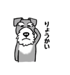 シュナウザー 日常スタンプ（個別スタンプ：8）