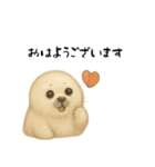 あざらし！！！！（個別スタンプ：1）