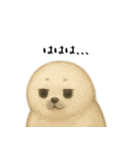 あざらし！！！！（個別スタンプ：3）