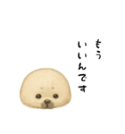 あざらし！！！！（個別スタンプ：5）