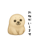 あざらし！！！！（個別スタンプ：6）