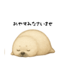 あざらし！！！！（個別スタンプ：11）