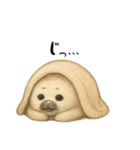 あざらし！！！！（個別スタンプ：13）