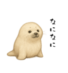あざらし！！！！（個別スタンプ：15）