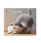 まんまる顔の猫様〜第二弾〜（個別スタンプ：1）