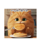 まんまる顔の猫様〜第二弾〜（個別スタンプ：16）