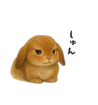 ツンデレなうさぎ！（個別スタンプ：2）