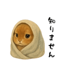ツンデレなうさぎ！（個別スタンプ：5）