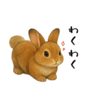 ツンデレなうさぎ！（個別スタンプ：8）