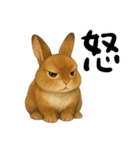 ツンデレなうさぎ！（個別スタンプ：9）