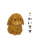 ツンデレなうさぎ！（個別スタンプ：13）