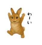 ツンデレなうさぎ！（個別スタンプ：17）