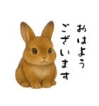 ツンデレなうさぎ！（個別スタンプ：19）