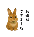 ツンデレなうさぎ！（個別スタンプ：21）