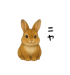 ツンデレなうさぎ！（個別スタンプ：24）