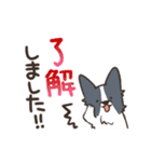 ボーダーコリー 敬語（個別スタンプ：1）