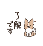 ボーダーコリー 敬語（個別スタンプ：2）
