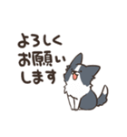 ボーダーコリー 敬語（個別スタンプ：3）